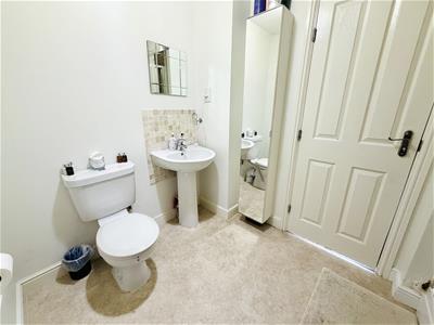 Picture 16